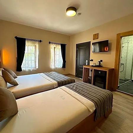 Hotell Konagi *